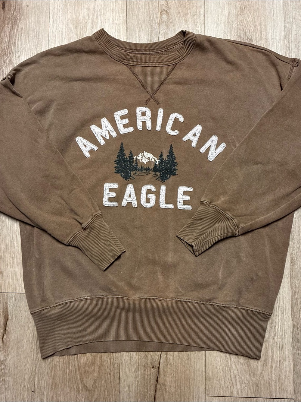 Vintage American Eagle Sweatshirt